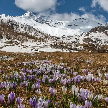 San Giuan, Ad Un Passo Dal Centro Διαμέρισμα