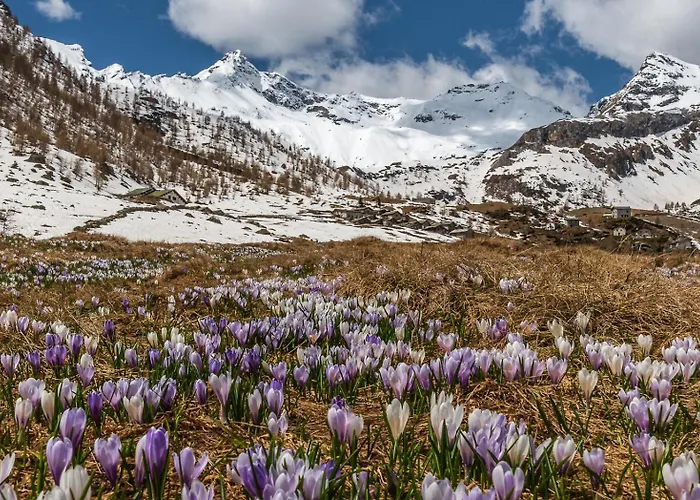 San Giuan, Ad Un Passo Dal Centro Διαμέρισμα